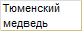 Тюменский медведь